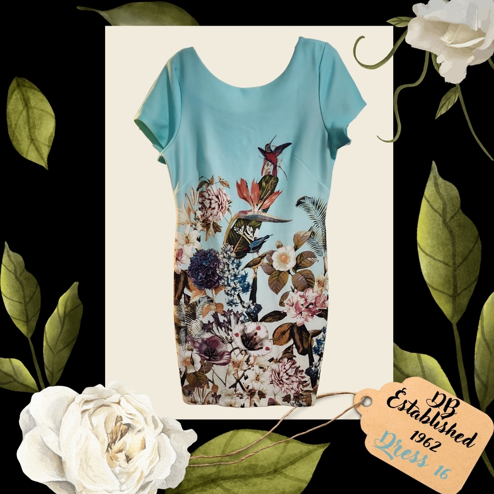 DB Established 1962 - Size 16 Dress - Aqua blue garden and hummingbird scene.